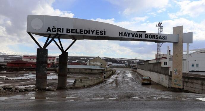 Agirî’de Hayvan Borsası’nın kapatılmasına karşı besicilerden eylem