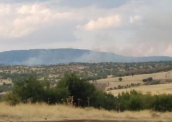 Licê’de çıkan yangın yağmurla söndü