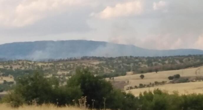 Licê’de çıkan yangın yağmurla söndü