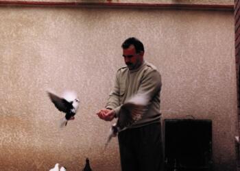 Abdullah Öcalan’a yeni bir ‘disiplin’ cezası