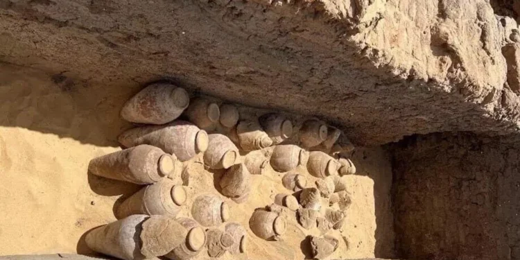 Mısır’da 5 bin yıllık şarap içeren testiler keşfedildi