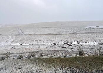 Erdexan’da kar yağışı