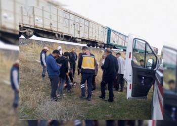 Wan’da koyunlar ve çobana tren çarptı