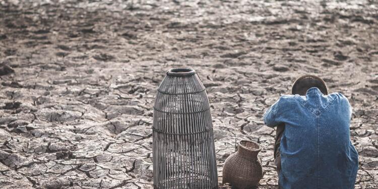 16 Ekim Dünya Gıda Günü: Gıdaya ulaşmanın en zor yılı