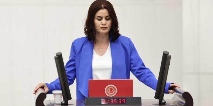 HEDEP’li vekil Sayyiğit: Bu bütçe bir grup azınlığın gözetildiği bir bütçedir