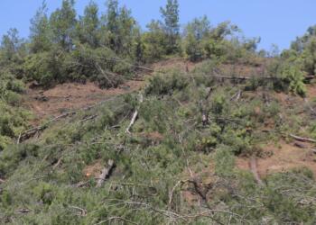Doğal yaşama, halkın malına çökerlerken, bunu halk adına alınan acele kararlarla yapmaları devlet kim sorusunu gündeme taşımakta.