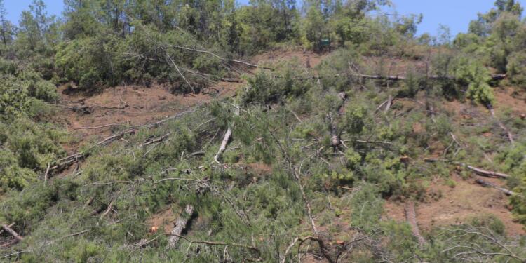 Ekolojik talanda ‘acele el koyma’ kararları