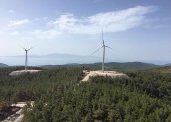 Yenilenebilir enerji iddiasıyla ormanlar, meralar ve tarım arazileri işgal edilerek doğal yaşama büyük zarar veriliyor.