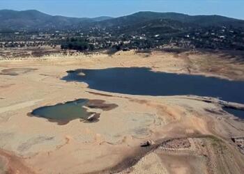 Bodrum ve Milas'ta suyu emen termik santrallere kısıtlama getirmeyenler, bölgede tarımı yok edecek adımları atıyorlar.