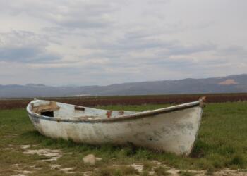Dünya da ve Türkiye'de doğa yağması giderek artarken, susuzluk ve kiraklık her yerde olduğu gibi Ege'de de büyüyor.