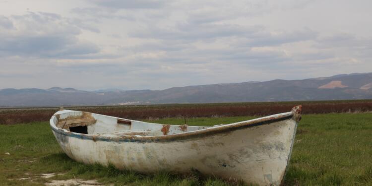 Ekolojik kıyım su kaynaklarını tüketiyor
