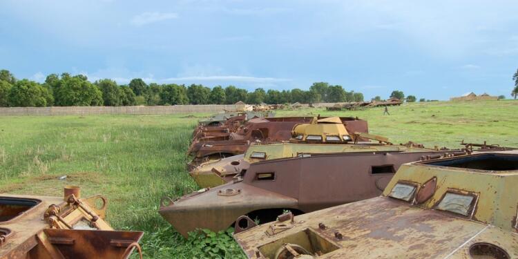 Savaşlar biyoçeşitliliği tehdit ediyor