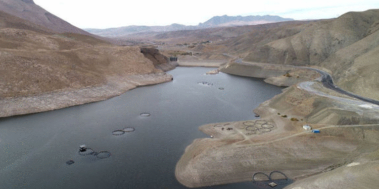 Wan Gölü’nde su seviyesi 4 metre düştü!