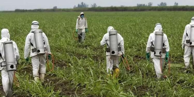 AB’de glifosat kullanımına onay