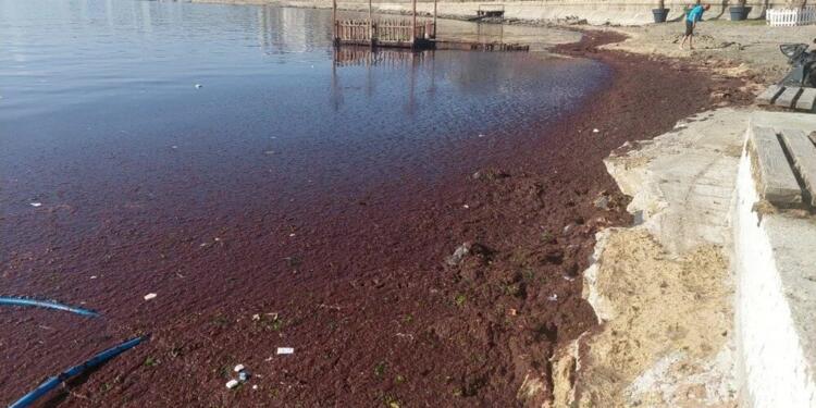 Tekirdağ sahili kırmızıya büründü