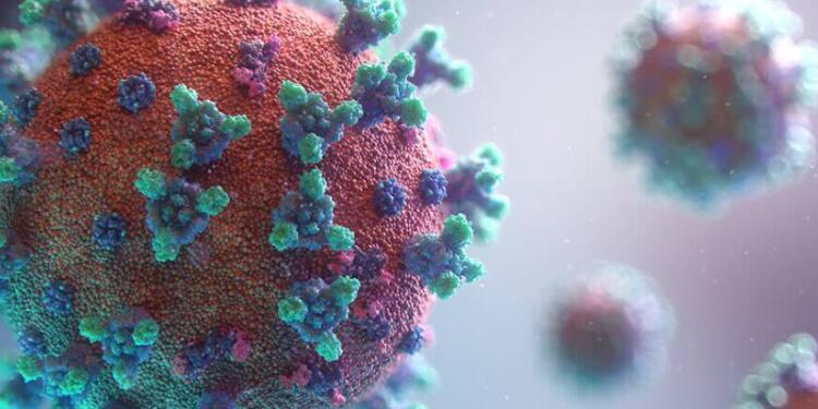 Sadece erkekleri öldüren yeni bir virüs keşfedildi