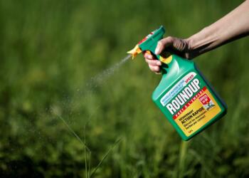 FILE PHOTO: A woman uses a Monsanto's Roundup weedkiller spray without glyphosate in a garden in Ercuis near Paris, France, May 6, 2018. REUTERS/Benoit Tessier/File Photo
