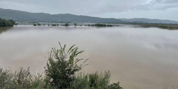 Aydın’da sel nedeniyle iki kişi yaşamını yitirdi