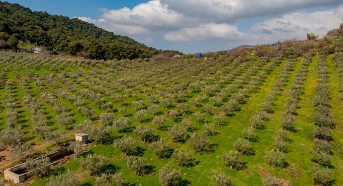 Dikili Belediyesi’nden taşınmaz satışı