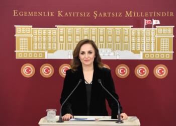 HEDEP Sözcüsü Doğan: Yerel seçimler için başvurular 27 Kasım’da başlıyor