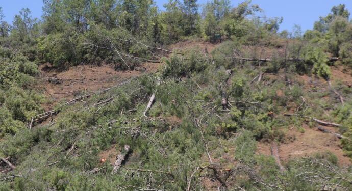 Akbelen’de dinamitlerin yol açtığı hasara karşı dayanışma çağrısı