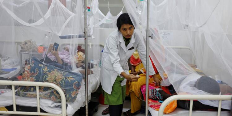 Bangladeş’te ‘dang humması’ndan yaşamını yitirenlerin sayısı artıyor