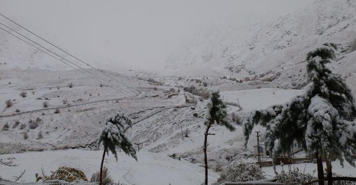 Wan’a yılın ilk karı yağdı