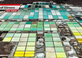 Temiz enerjinin karanlık yüzü olan lityum madenciliği ekosistemi yerle bir eden ve zehir