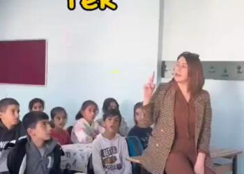 Hedef gösterilen Kürtçe öğretmenine destek