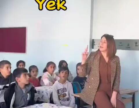 Hedef gösterilen Kürtçe öğretmenine destek