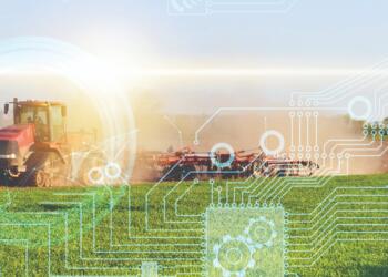 Tarım arazileri enerji, imar vd. uygulamalarla işgal edilip yok edilirken, çiftçiyi devreden çıkaracak ve üretimde yaşanan sorunlara çare olarak sunulan yapay zeka önerisi çiftçiyi kapsamıyor.