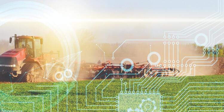 Ne üreteceğine çiftçi mi karar veriyor?