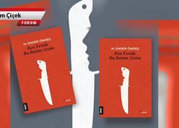 Sarsıcı bir roman: Ben Feride Bu Benim Sesim