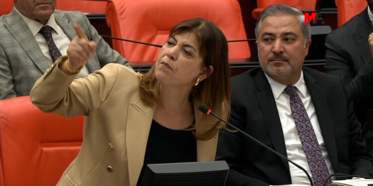 HEDEP’li Beştaş’tan kendisine ‘terörist’ diyen AKP’liye: Terörist senin babandır!