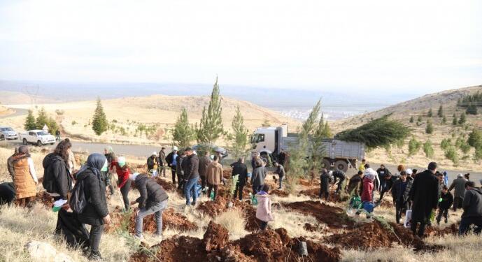 DTSO Erxenî’de 10 bin ağaç dikti