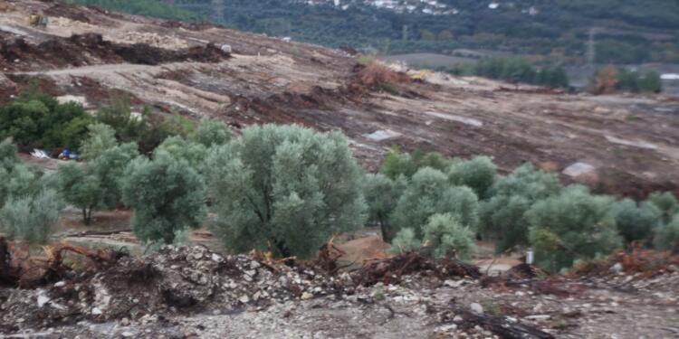 Akbelen’de büyük buluşma