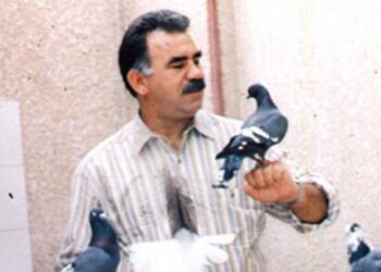 Öcalan’a özgürlük, Kürt sorununa çözüm: Şimdiye kadar 10’dan fazla etkinlik yapıldı