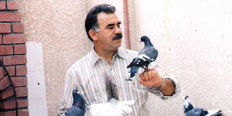 Öcalan’a özgürlük, Kürt sorununa çözüm: Şimdiye kadar 10’dan fazla etkinlik yapıldı