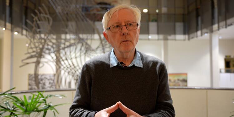 Klute: Abdullah Öcalan’ın özgürlüğü Kürt sorunda önemli bir adım