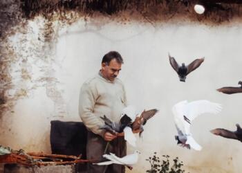 İHD’li Çapraz: Abdullah Öcalan’ın toplumsal öneminin görülmesi gerekiyor