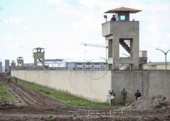 ‘Tecrit ve faşizmi kırmanın tek yolu ses çıkarmaktır’