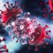 WHO: Kovid’in yeni varyantı hızla yayılıyor
