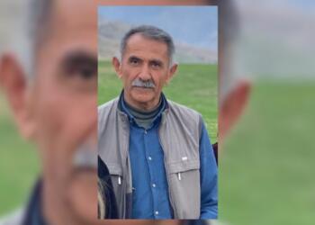 Aracı taranan DEM Parti yöneticisi yaşamını yitirdi