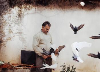 Abdullah Öcalan’dan bin gündür haber alınamıyor