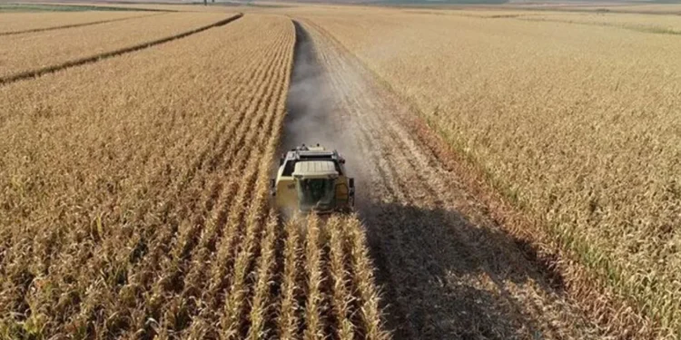 Tarımsal girdi fiyat endeksinde yüzde 40 arttış yaşandı