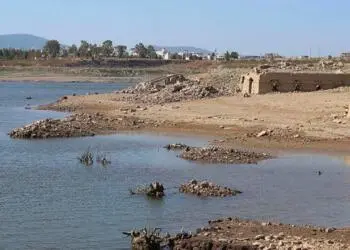 Bodrum ve Milas'ta ortaya çıkan su sorununun nedeni su tahsisinin halkın ihtiyacı yerine bölgedeki termik santrallere bağlanmasıydı.