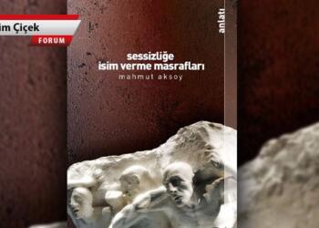 Sessizliğe isim verme…