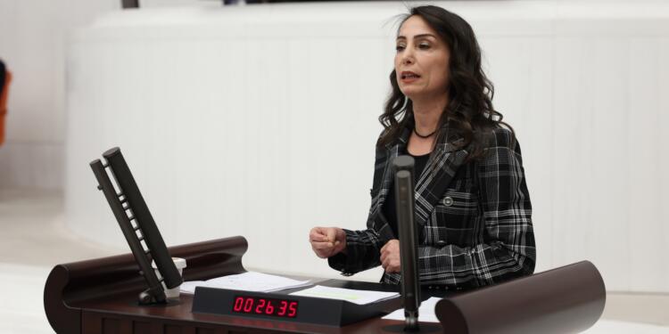 DEM Parti Eş Genel Başkanı Hatimoğulları: Kürt sorununda yeni kanallar açalım