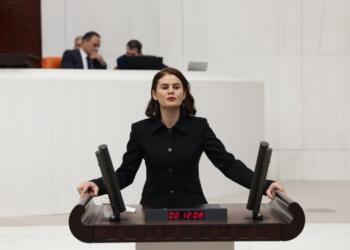 DEM Partili Sayyiğit: Kürtçe bizim kırmızı çizgimizdir