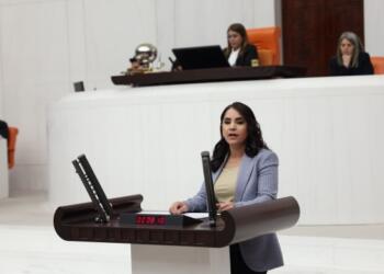 Uysal: Hukuk, adalet ve onurlu bir barış için İmralı’yı kapatın